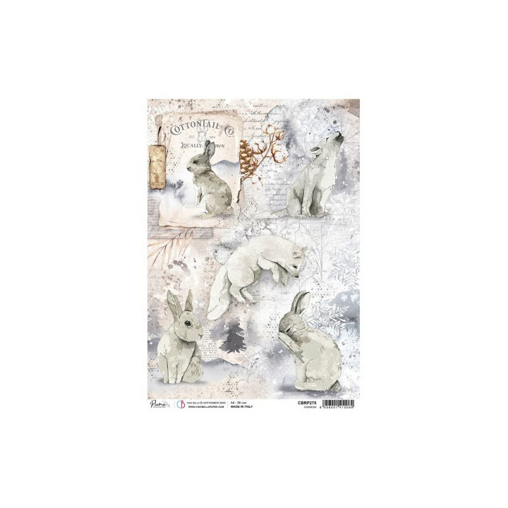 copy of 